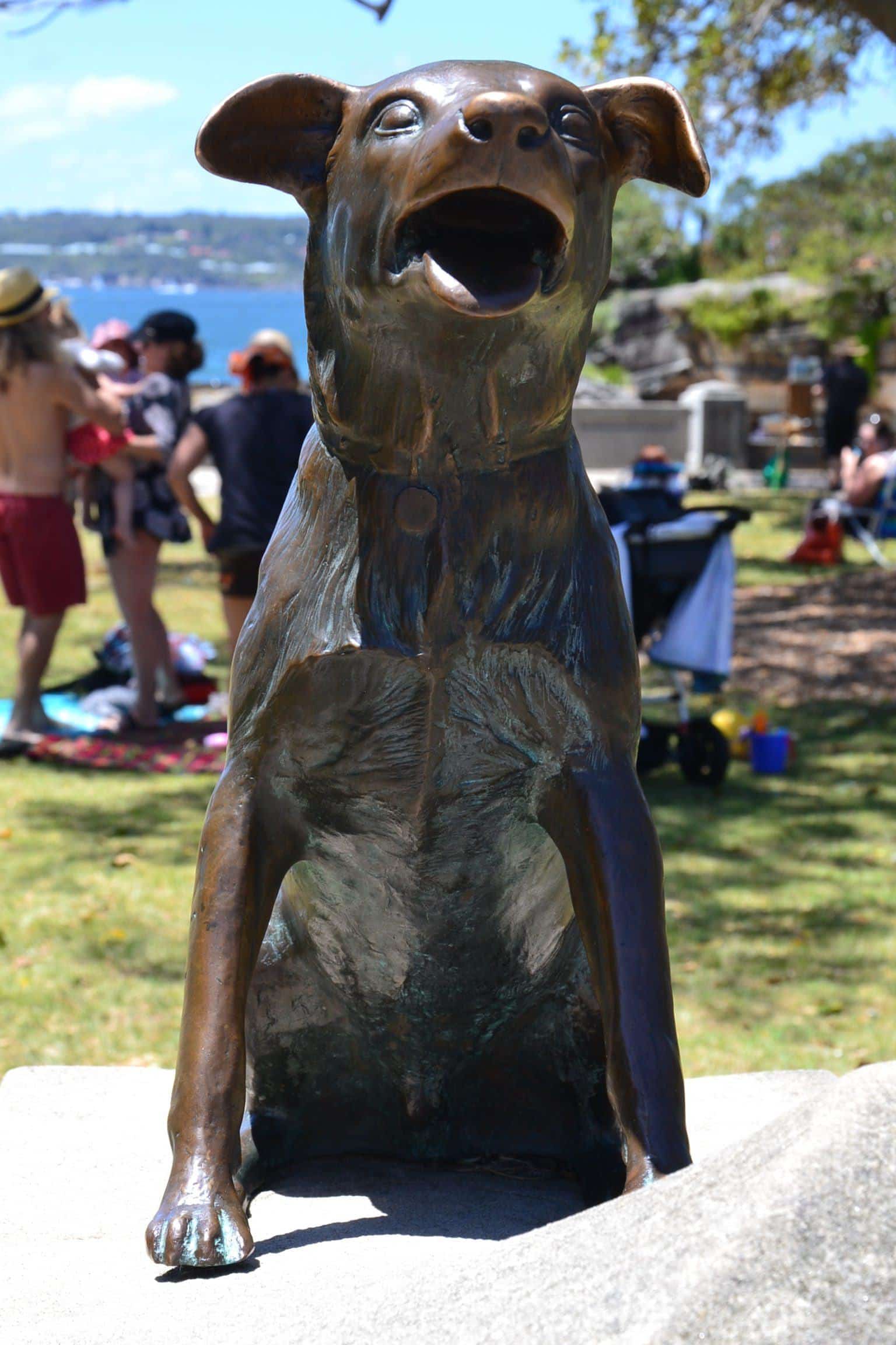 A dog standing on the sand at Edwards Beach, Sydney